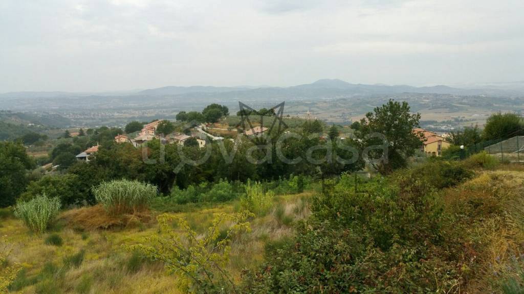 terreno agricolo in vendita a Bettona