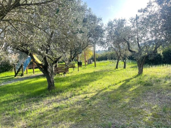 appartamento in vendita a Bettona in zona Colle