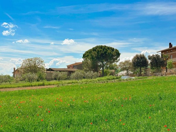 casa indipendente in vendita a Bettona in zona Colle
