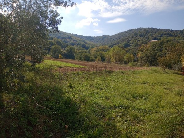 terreno agricolo in vendita a Bettona in zona Colle
