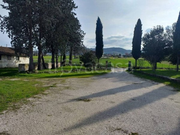 appartamento in vendita a Bettona in zona Colle