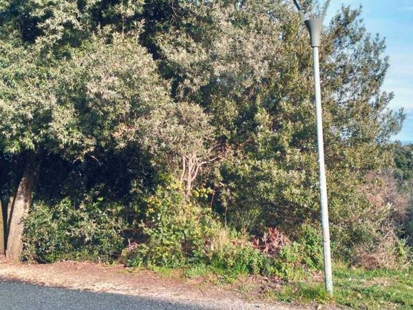 terreno in vendita a Bettona