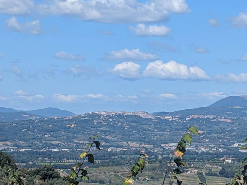 casa indipendente in vendita a Bettona in zona Colle