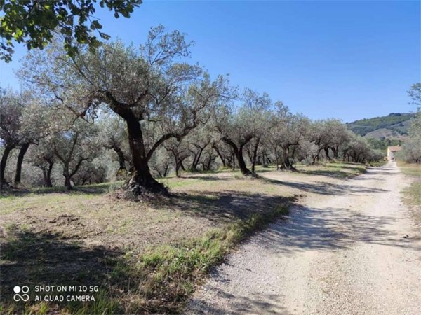 appartamento in vendita a Bevagna