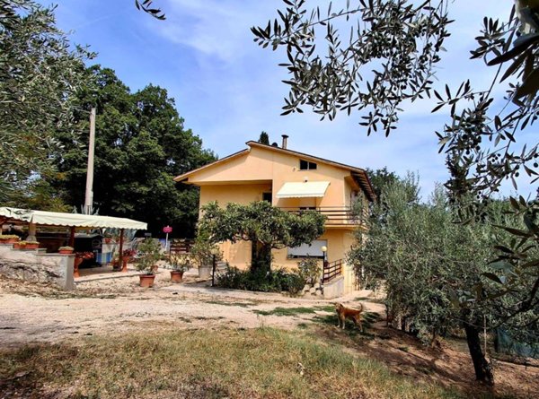 appartamento in vendita a Bevagna