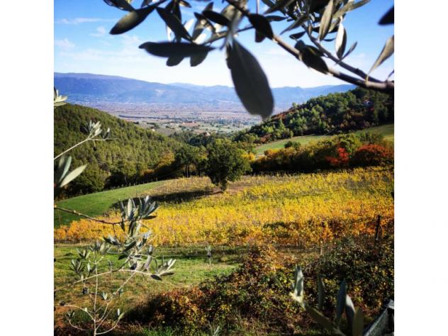casa indipendente in vendita a Bevagna
