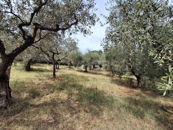appartamento in vendita a Bevagna