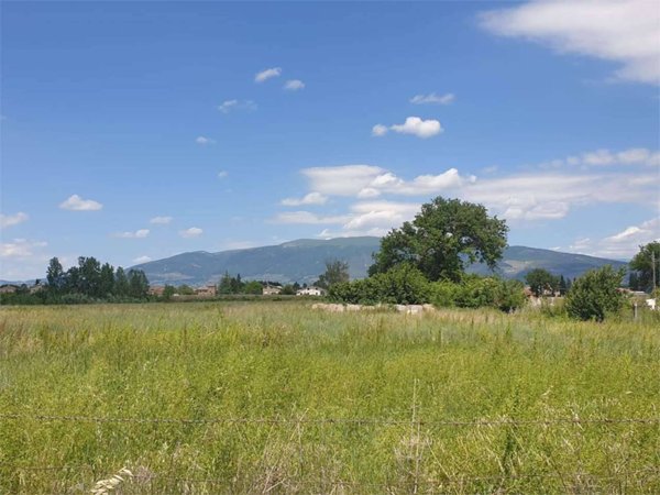 azienda agricola in vendita a Bevagna in zona Cantalupo