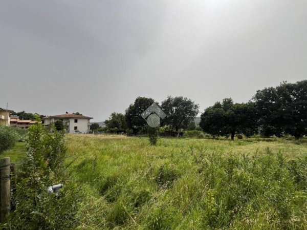 terreno agricolo in vendita a Bevagna