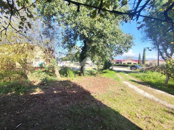 trivano in vendita a Bevagna