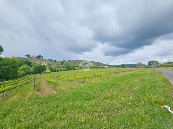 terreno agricolo in vendita a Bevagna