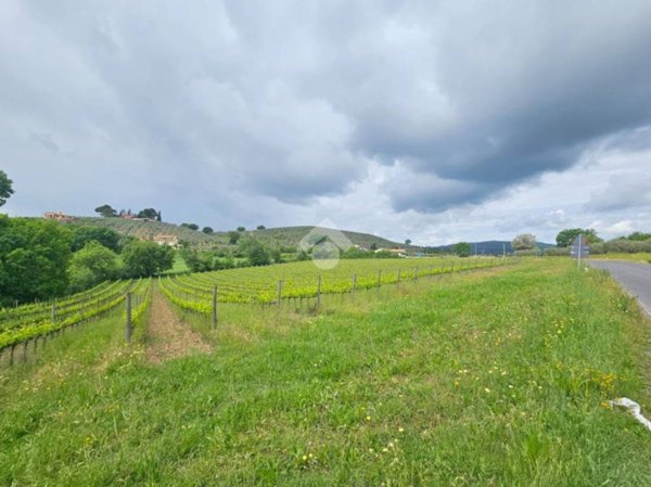 terreno agricolo in vendita a Bevagna