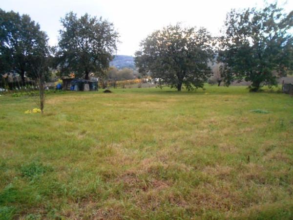 terreno edificabile in vendita a Bevagna