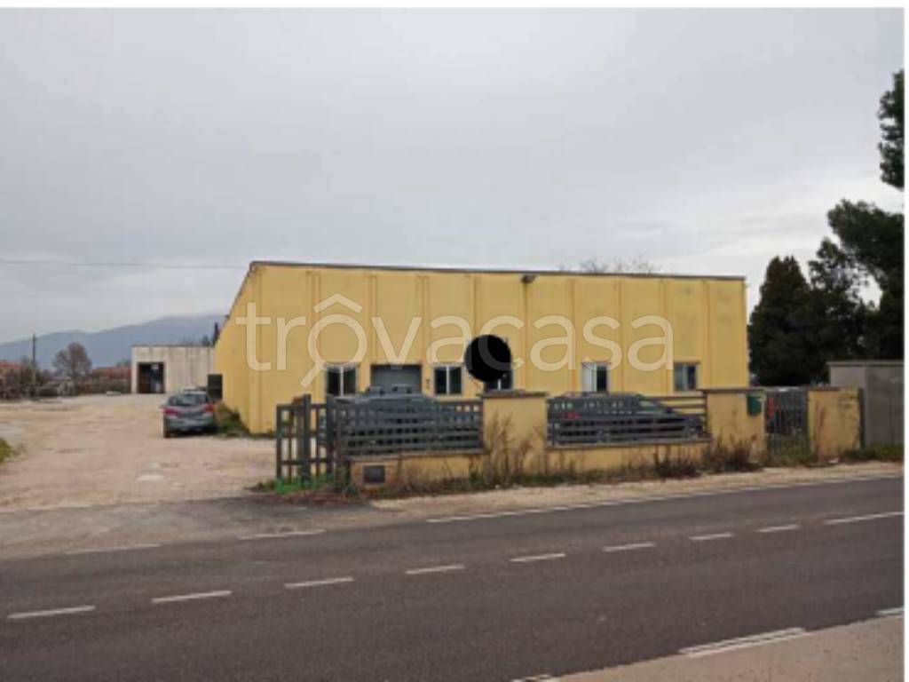 locale commerciale in vendita a Bevagna