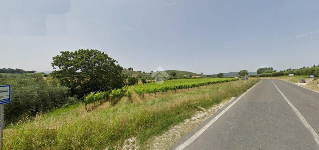 terreno agricolo in vendita a Bevagna