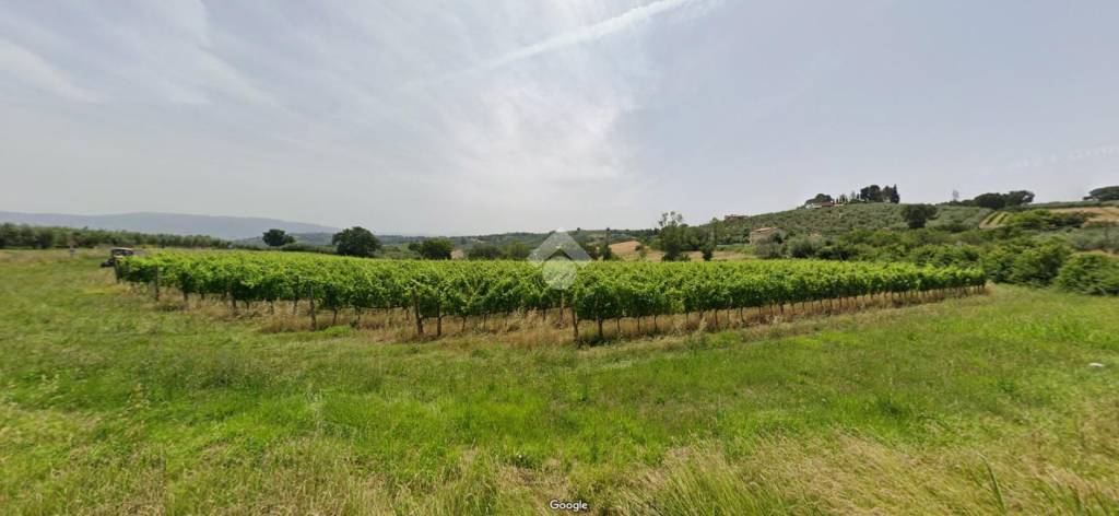 terreno agricolo in vendita a Bevagna