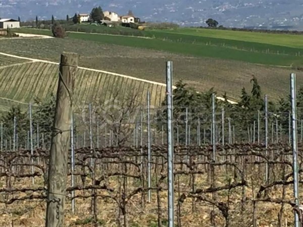 terreno agricolo in vendita a Bevagna