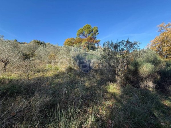 terreno agricolo in vendita a Bevagna in zona Torre del Colle