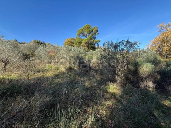 terreno agricolo in vendita a Bevagna in zona Torre del Colle