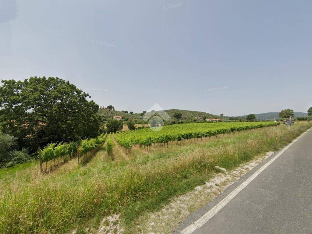 terreno agricolo in vendita a Bevagna