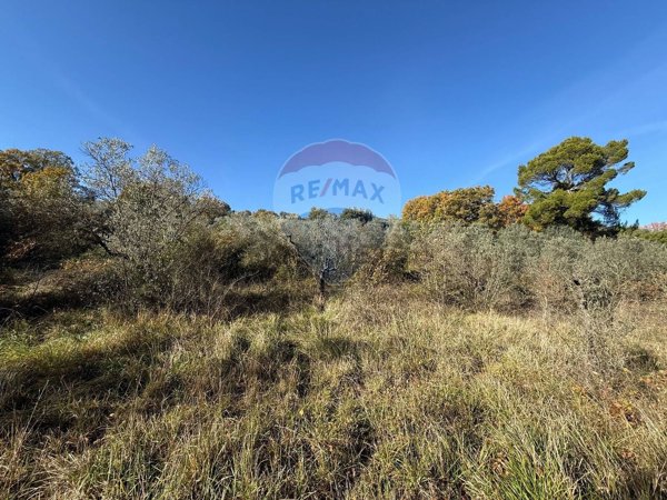 terreno agricolo in vendita a Bevagna in zona Torre del Colle
