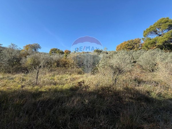 terreno agricolo in vendita a Bevagna in zona Torre del Colle