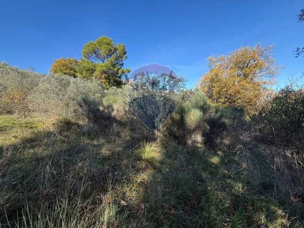 terreno agricolo in vendita a Bevagna in zona Torre del Colle