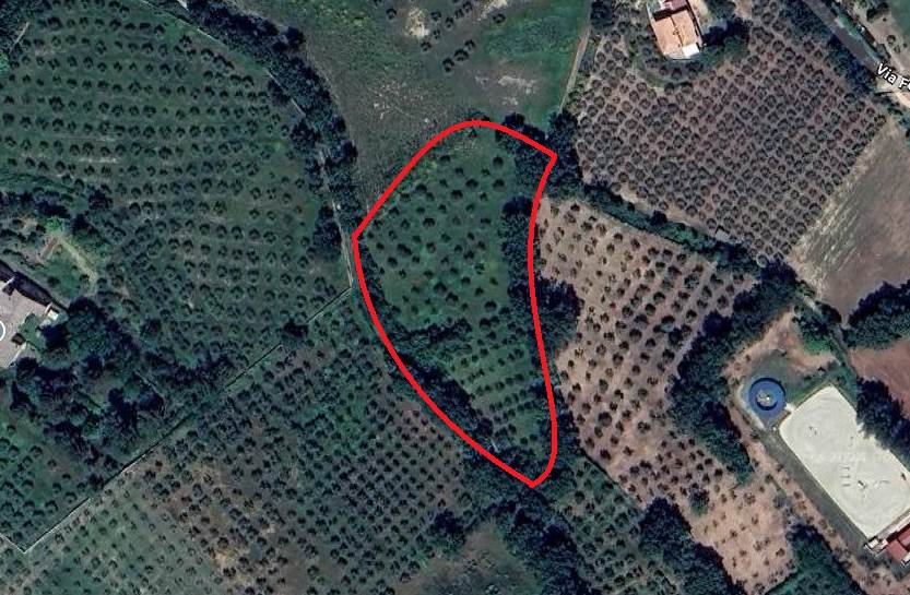 terreno agricolo in vendita a Bevagna