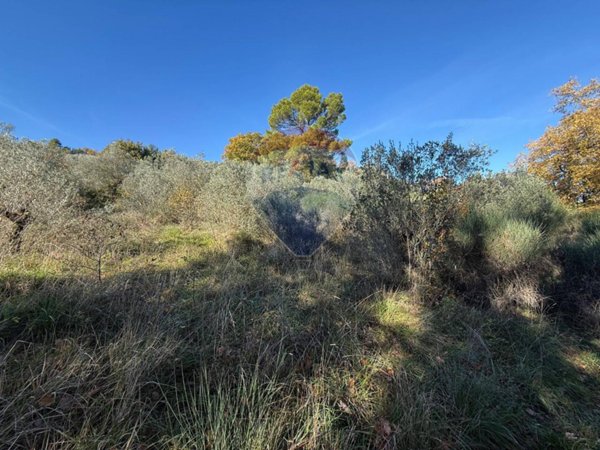 terreno agricolo in vendita a Bevagna in zona Torre del Colle
