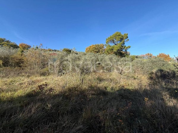 terreno agricolo in vendita a Bevagna in zona Torre del Colle