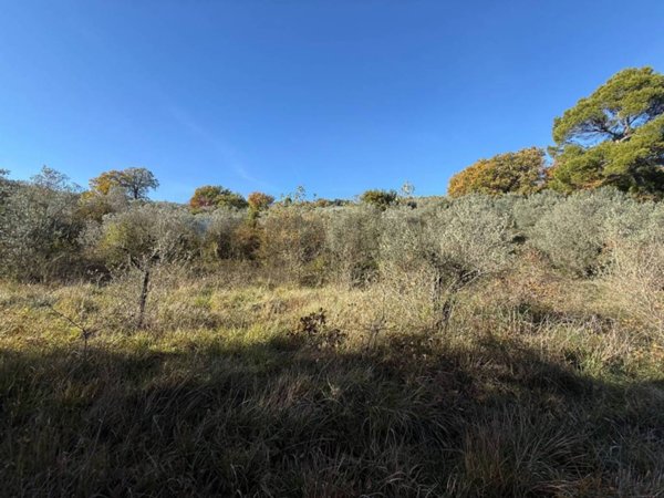 terreno agricolo in vendita a Bevagna in zona Torre del Colle
