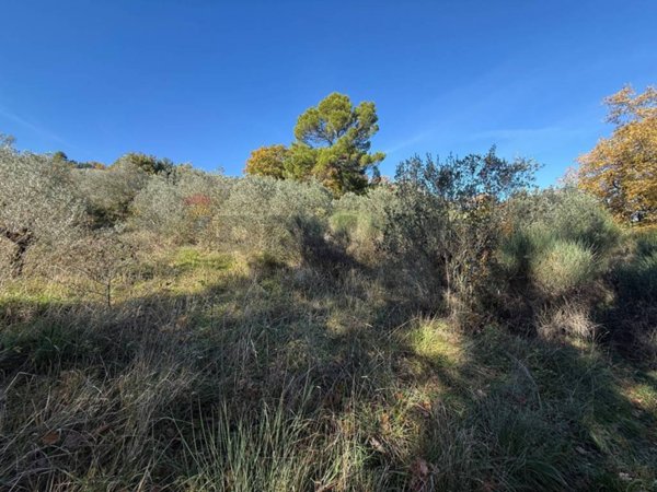terreno agricolo in vendita a Bevagna in zona Torre del Colle