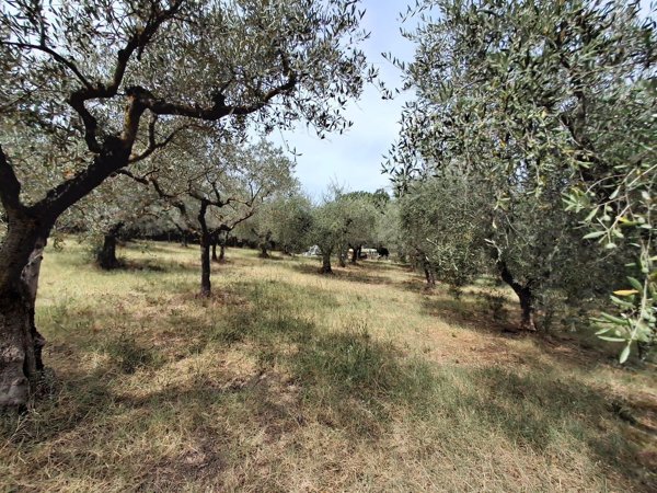 appartamento in vendita a Bevagna