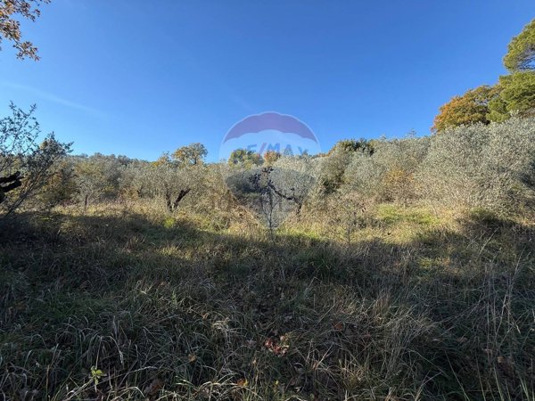 terreno agricolo in vendita a Bevagna in zona Torre del Colle