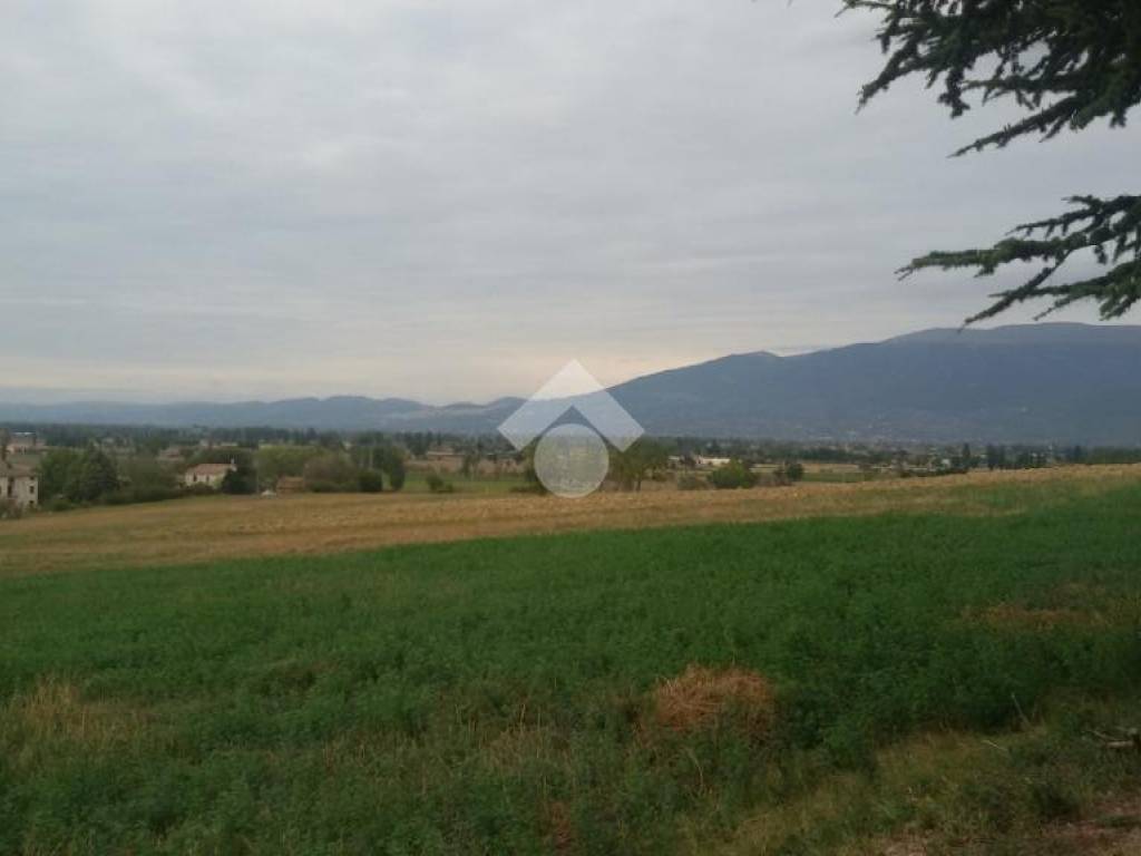 terreno edificabile in vendita a Bevagna