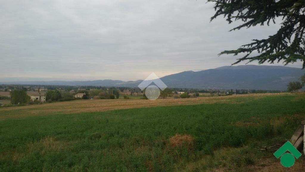 terreno edificabile in vendita a Bevagna