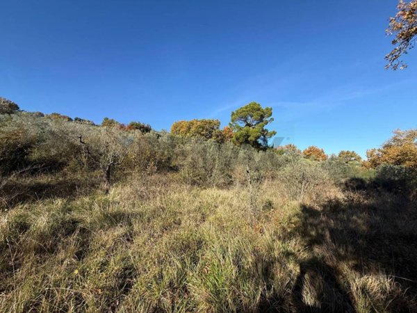 terreno agricolo in vendita a Bevagna in zona Torre del Colle