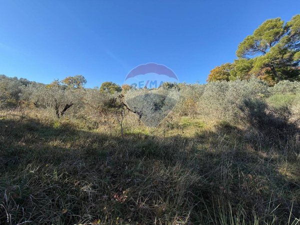 terreno agricolo in vendita a Bevagna in zona Torre del Colle