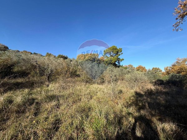 terreno agricolo in vendita a Bevagna in zona Torre del Colle