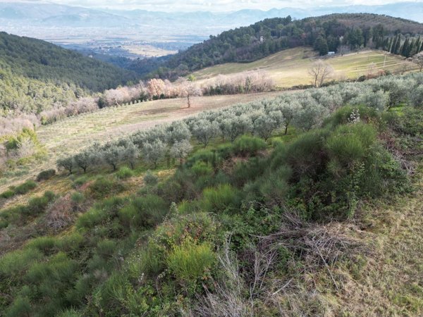 appartamento in vendita a Bevagna