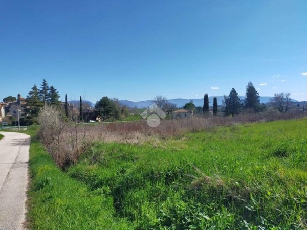 terreno agricolo in vendita a Bevagna