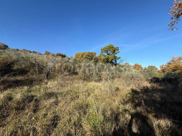terreno agricolo in vendita a Bevagna in zona Torre del Colle