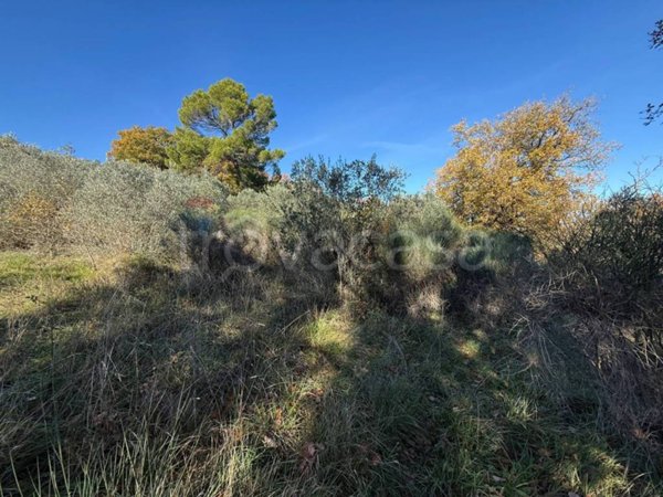 terreno agricolo in vendita a Bevagna in zona Torre del Colle
