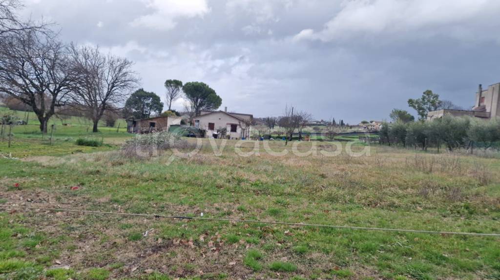 terreno edificabile in vendita a Bevagna