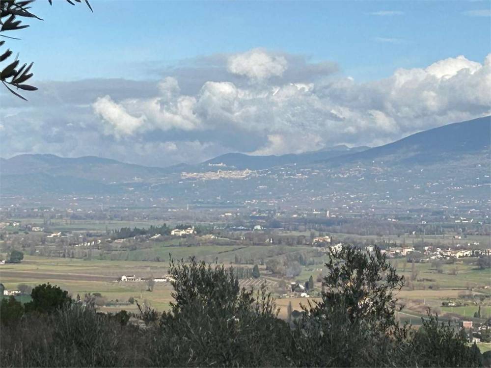 terreno agricolo in vendita a Bevagna in zona Castelbuono