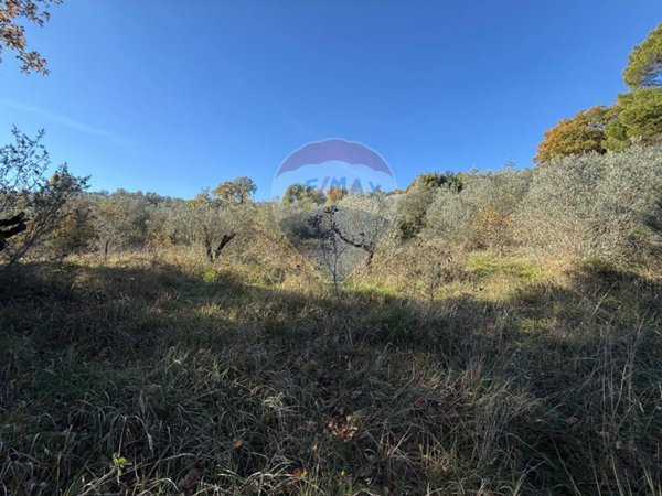 terreno in vendita a Bevagna in zona Torre del Colle