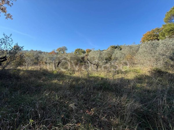 terreno in vendita a Bevagna in zona Torre del Colle