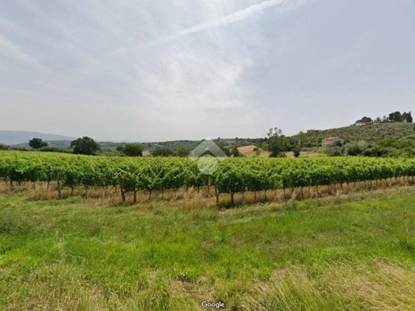 terreno in vendita a Bevagna
