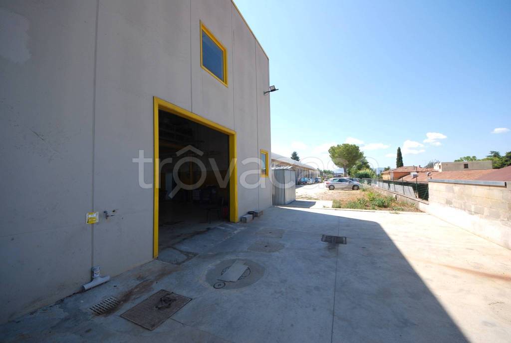 locale commerciale in vendita a Campello sul Clitunno