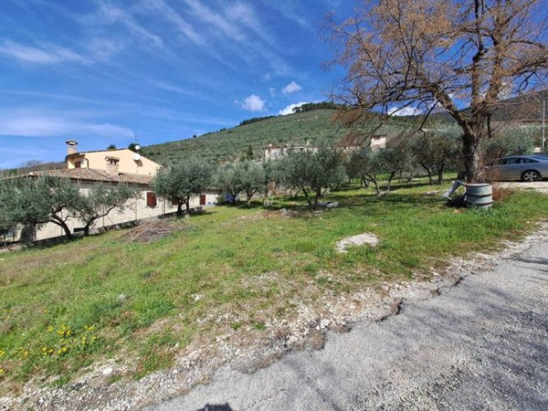 terreno agricolo in vendita a Campello sul Clitunno